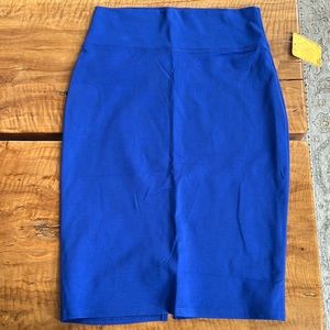Stretchy Skirt NWT